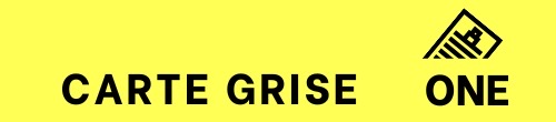 CARTE GRISE ONE